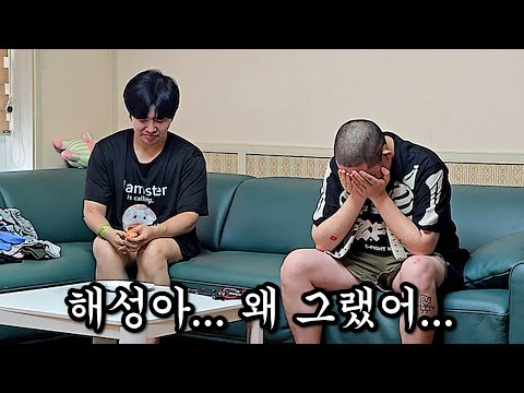 (긴급 해제) 해성이가 사고쳤습니다.