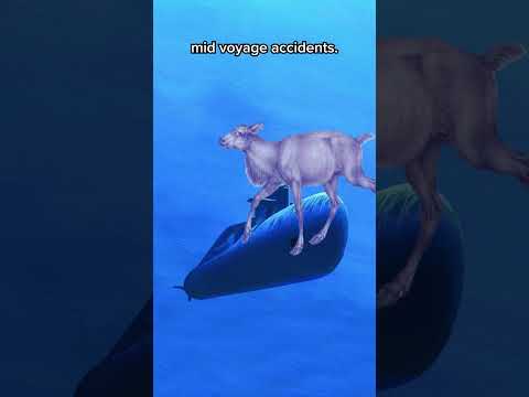 When a reindeer 'fought' in World War 2