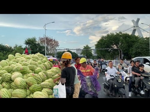 广西传统地摊经济第3集,沉浸式体验路边摊,南宁最热闹最便宜的“水果街“,物价超便宜,轻松实现水果自由,龙眼2元一斤,大西瓜10元三个,葡萄3元一斤,秋梨10元7个,水蜜桃10元3斤,水果木瓜5元一个。
