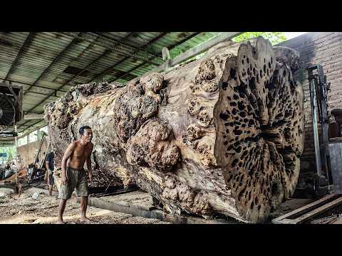 USA & AUSTRALIA SHOCKED! Only One Man Dared to Fell This Monster Log at the Sawmill