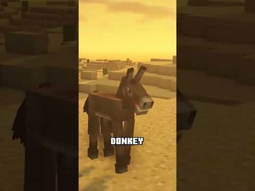 NoCom's Lone Survivor on #2b2t