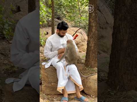 Nostalgic Arunachala ⛰️ (Tiruvananamalai)