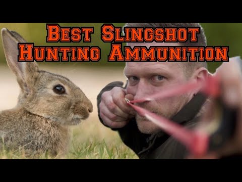 Catapult / Slingshot Ammo Choice for Hunting