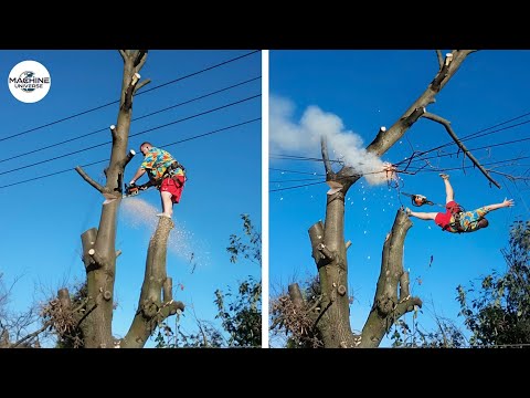 Idiots With Chainsaws: Tree Cutting Fails | Extreme Dangerous Logging Truck Fails #5