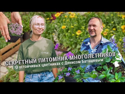Секретный питомник многолетников. О устойчивых цветниках с Денисом Баташевым