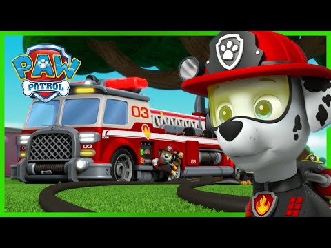 Más de 1 hora de episodios de Rescate máximo y más - PAW Patrol Español - Patrulla de Cachorros