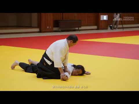 Noboru Saito, 7th Dan, National Printing Bureau Aikido Club - 21st Kanagawa Aikido Demonstration