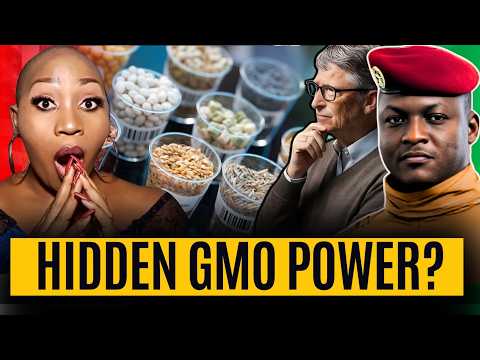 Bill Gates Isn't the Only One: Who's Really Behind Africa's Seed Crisis