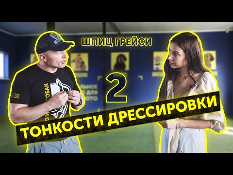 Как научится взаимодействовать с собакой | Послушный Шпиц | Тонкости дрессировки | Школа DRED
