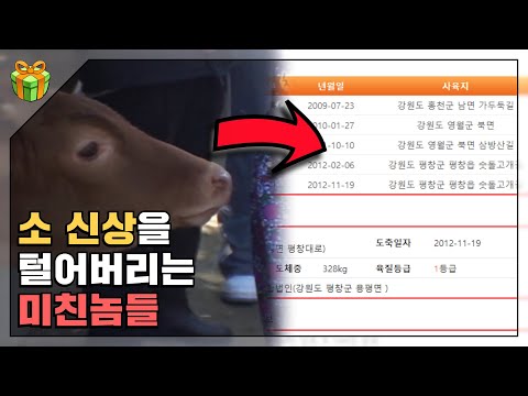 네티즌 수사대 : 인터넷을 떠도는 명탐정들