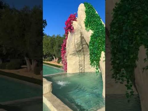 The 3 luxury features that every client wants! ππ₯#luxuryhome #backyarddesign #landscapedesign οΏΌ