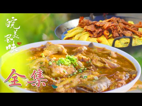 【皖美风味】01-12全集 横跨江淮南北🔥💕走访安徽各地,探寻或声名远扬或隐匿民间的美味 | 腾讯视频 - 纪录片