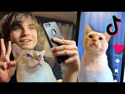 Making My Cat TikTok Famous