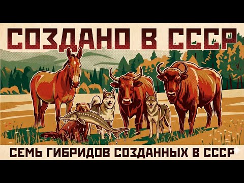 Как и зачем в СССР создавали гибриды животных. Советский Ноев ковчег.