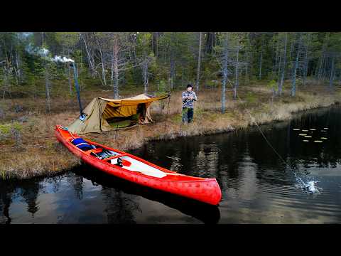 Solo Camping & Fishing Deep in the Nordic Wilderness