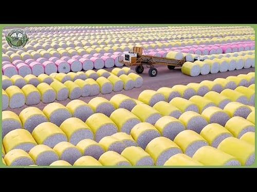 How Million Tons of Cotton Are Processed – Massive Cotton Farming For Fabric