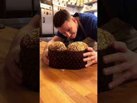 Small Classic Sourdough Panettone 😃🔪🥮 We will share our insights and procedures on this next year