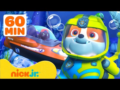 PAW Patrol | Rubble & Zuma retten im Wasser! | PAW Patrol & Crew | 1 Stunde | Nick Jr. Deutschland