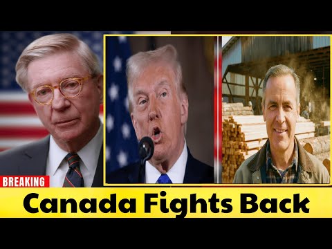 Canada’s $5 Billion Lumber Strategy: How Trump’s Tariffs Triggered a Permanent Shift