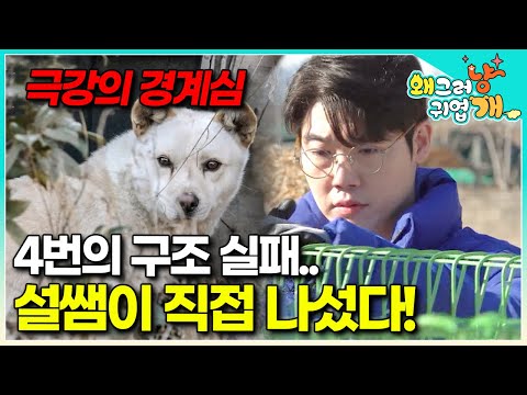 A stray dog becomes a public enemy in the village. Will it be rescued and reborn as a happy com...