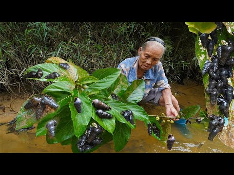 Grandma takes granddaughter to catch wild snails to make traditional Chinese food|Guangxi Grandma