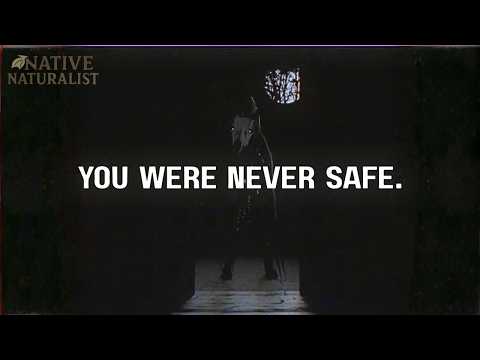 This National Park ARG Is Genuinely Terrifying - Greensboro DNR(Analog Horror)