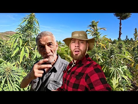Inside Morocco’s Dangerous H@sh Region (Documentary) 🇲🇦