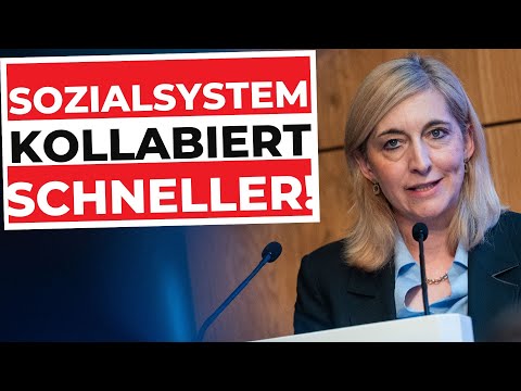Nettosteuerzahler am Limit – das Sozialexperiment bricht zusammen!