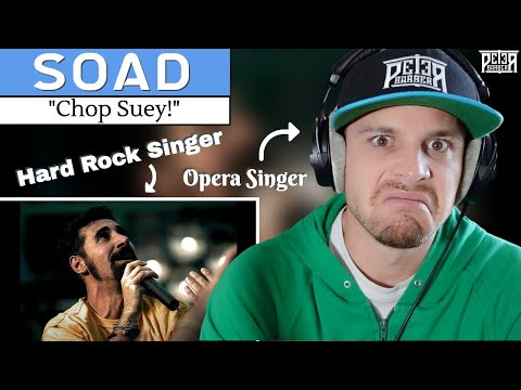 Professional Singer Vocal ANALYSIS of System Of A Down | "Chop Suey"
