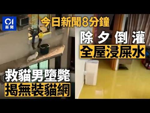 今日新聞|土瓜灣男救貓失足飛墮花槽亡 揭單位無貓網|除夕低層公屋污水渠倒灌 全屋浸滿屎水|01新聞|貓|賀歲馬|初三|污水倒灌|農曆新年|尹錫悅|屯赤|2026年2月19日 #hongkongnews