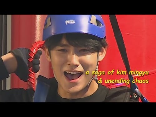 mingyu and all things β¨οΈ chaos β¨οΈ