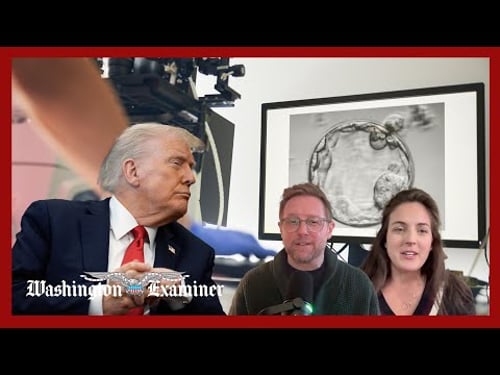 Madeline Fry Schultz explains the IVF rift on the Right