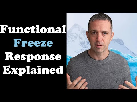 What is Functional Freeze Response and how to break free