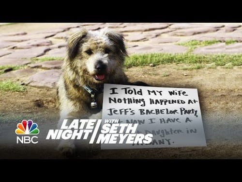 Extreme Dog-Shaming: Selling Drugs, Starting Fires