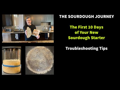 The First 10 Days of Your New Sourdough Starter: Troubleshooting Tips