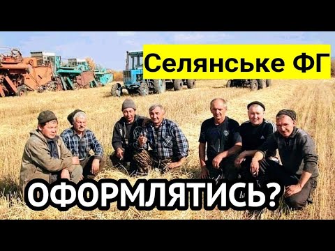 Одноосібник чи Селянське ФГ? НЕ МОЖНА продавати за ГОТІВКУ! Не платити податки чи оформитись?