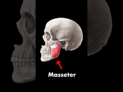 Check your jaw. Seriously.