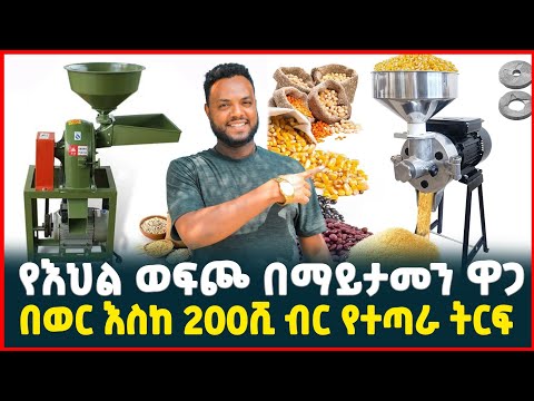 200ሺ ብር ትርፍ በወር የሚያገኙበት ስራ | የእህል ወፍጮ ዋጋ | Price of miller machine | Tirita Review