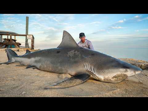 MASSIVE Bull Shark... Catch Clean Cook!