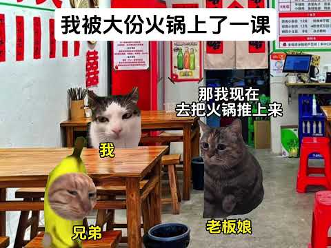 厨师长:我真心谢谢你 #猫meme #猫meme小剧场 #猫meme剧场 #内容过于真实 #搞笑