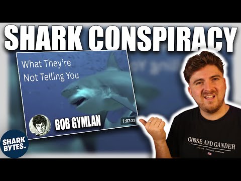 Shark Scientist Responds To "Great Shark Cover-up"