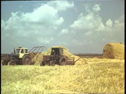 Сотворение хлеба.