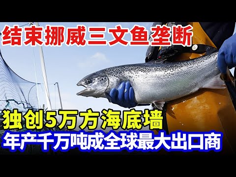 结束挪威三文鱼垄断,中国独创5万方自由沉浮深海网箱,年产千万吨品质远超挪威,一跃成为全球最大出口商【科普世界】