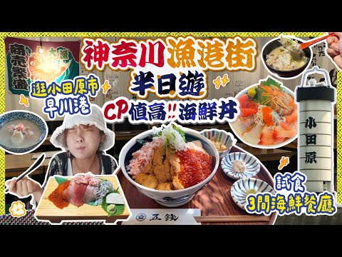來小田原玩吧!! 刺身飯又新鮮&CP值高❤️🔥神奈川漁港街半日遊|東京近郊小旅行|試食3間海鮮餐廳 #小田原 #日本 #日本美食