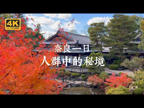 【Nara VLOG】Classic One-Day Nara Itinerary! Discover Hidden Gems on the Main Route