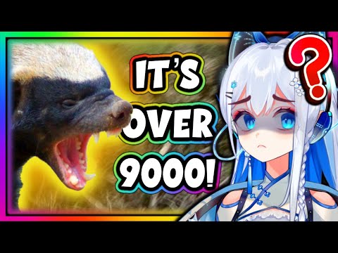 ARE HONEY BADGERS *ACTUALLY* THAT STRONG? (Casual Geographic)