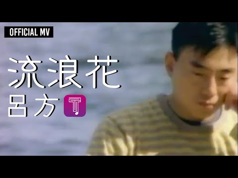 呂方 Lui Fong -《流浪花》Official MV