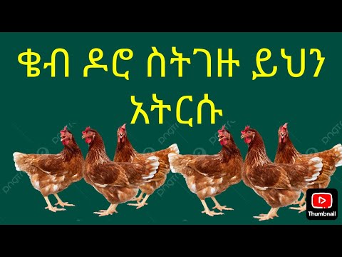 የሁለት እና የሦስት ወር ዶሮ ስትገዙ ይህን አትርሱ