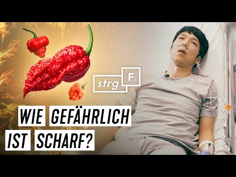 Chili total: Wie viel scharf kann Han? 🌶️🌶️🌶️ | STRG_F
