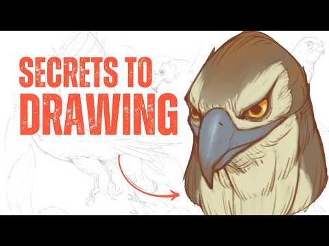 Give me 17 min to make you a Drawing MASTER